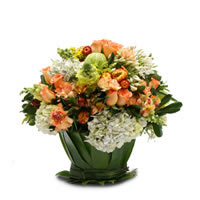 Cardona Elegance - Regalar Rosas, Regalar tulipanes, regalar flores,regalar arreglos florales, regalar regalos